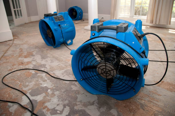Best Ceiling water damage repair  in Fort Deposit, AL
