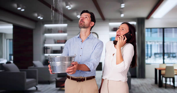 Best Water damage cleanup near me  in Fort Deposit, AL